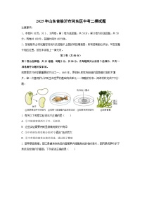2025年山东省临沂市河东区中考二模生物试题（解析版）