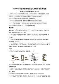 2025年山东省泰安市岱岳区八年级中考三模生物试题（解析版）