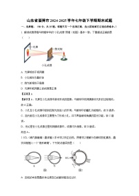 山东省淄博市2024-2025学年七年级下学期期末生物试题（解析版）