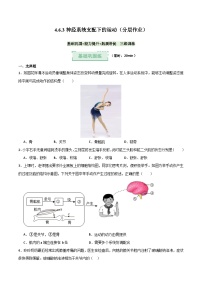 人教版（2024）八年级上册（2024）第三节 神经系统支配下的运动优秀复习练习题