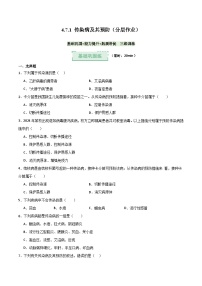 生物八年级上册（2024）第一节 传染病及其预防优秀课时训练