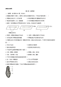 初中生物人教版（2024）七年级上册（2024）单细胞生物课时练习