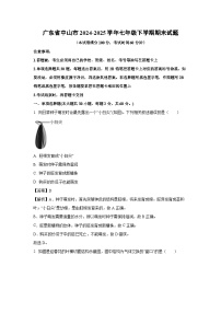 广东省中山市2024-2025学年七年级下学期期末生物试题（解析版）
