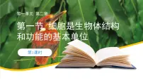 初中济南版（2024）细胞是生物体结构和功能的基本单位完美版ppt课件