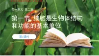 初中生物济南版（2024）七年级上册（2024）细胞是生物体结构和功能的基本单位获奖ppt课件