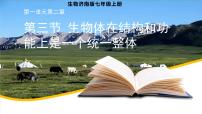 生物七年级上册（2024）生物体在结构和功能上是一个统一整体精品ppt课件