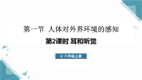 初中生物人教版（2024）八年级上册（2024）第一节 人体对外界环境的感知教学演示ppt课件