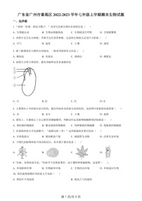 广东省广州市番禺区2022-2023学年七年级上学期期末生物试题（含答案）