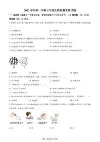 广东省广州市番禺区2023-2024学年七年级上学期期末生物试题（含答案）