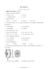 2024-2025学年七年级生物上学期期中测试卷二（含答案）