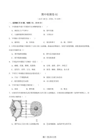 2024-2025学年七年级生物上学期期中测试卷二（含答案）