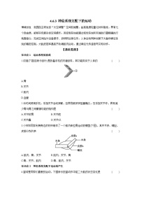 生物八年级上册（2024）第三节 神经系统支配下的运动精品课后作业题