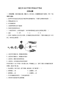 【真题】江苏省宿迁市2025年中考生物试卷（含答案解析）