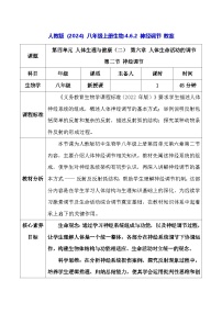 生物八年级上册（2024）第二节 神经调节教案及反思