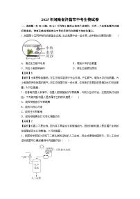 2025年河南省许昌市中考生物试卷（解析版）