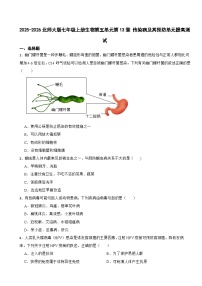 北师大版（2024）七年级上册（2024）细胞课时练习