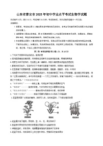 2025年山东省泰安市初中学业水平考试生物学试题（有答案）