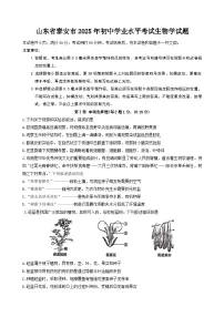 2025年山东省泰安市初中学业水平考试生物学试题（有答案）