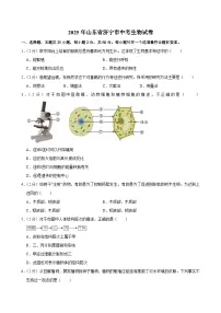 2025年山东省济宁市中考生物试卷附答案