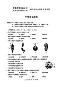 2025年新疆生产建设兵团中考生物真题（有答案）