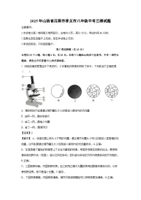 2025年山西省吕梁市孝义市八年级中考三模生物试题（解析版）