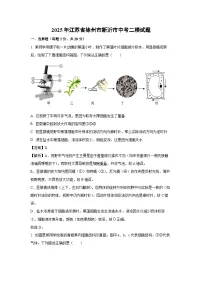 2025年江苏省徐州市新沂市中考二模生物试题（解析版）