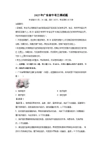 2025年广东省中考三模生物试题（解析版）