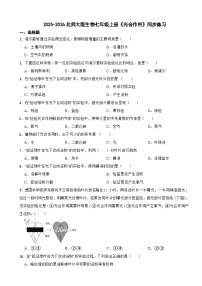 北师大版（2024）七年级上册（2024）光合作用课时作业