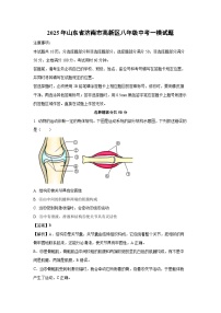 2025年山东省济南市高新区八年级中考一模生物试卷（解析版）