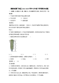 福建省厦门地区2024-2025学年七年级下学期期末生物试卷（解析版）