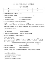 河南省许昌市襄城县2023-2024学年七年级下学期期中生物试题