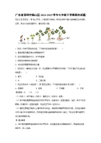 广东省深圳市南山区2024-2025学年七年级下学期期末生物试题（解析版）