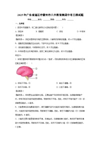 2025年广东省湛江市雷州市八中教育集团中考三模生物试题（解析版）