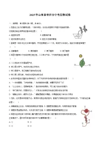 2025年山东省枣庄市中考生物试卷（含解析）