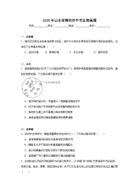 2025年山东省潍坊市中考生物真题（无答案）