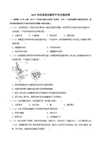 2025年河南省济源市中考生物试卷