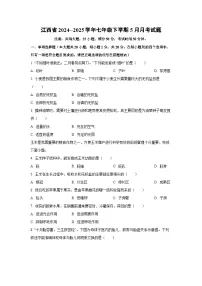江西省2024--2025学年七年级下学期5月月考生物试卷（学生版）