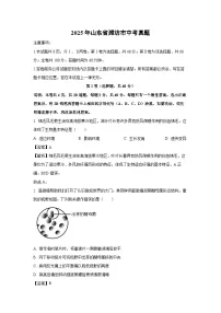 2025年山东省潍坊市中考真题生物试卷（解析版）
