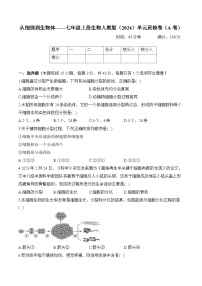 初中生物人教版（2024）七年级上册（2024）从细胞到生物体优秀随堂练习题
