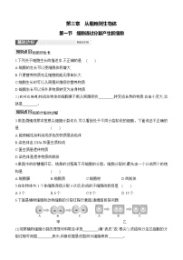 初中生物人教版（2024）七年级上册（2024）细胞通过分裂产生新细胞精品课堂检测