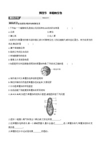 初中生物人教版（2024）七年级上册（2024）单细胞生物优秀课堂检测