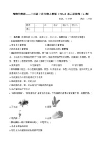 初中人教版（2024）植物的类群优秀课时训练