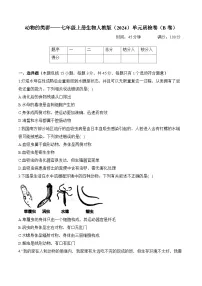 生物动物的类群优秀精练