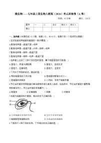 初中生物微生物的分布精品练习题