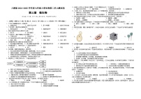 初中人教版（2024）微生物优秀一课一练