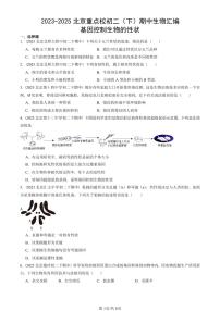 2023-2025北京重点校初二（下）期中生物汇编：基因控制生物的性状 有答案解析
