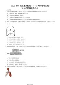 2023-2025北京重点校初一（下）期中生物汇编：人体的呼吸章节综合 有答案解析