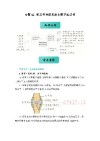 专题03 第三节神经系统支配下的运动（word） 八上生物 人教版2024 期中复习 知识点+习题