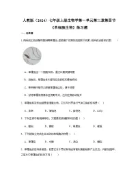 生物七年级上册（2024）单细胞生物同步练习题
