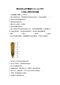 黑龙江省大庆市肇源县2025-2026学年八年级上学期开学考生物试卷（学生版）